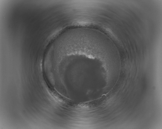 X0000069810640200605221205