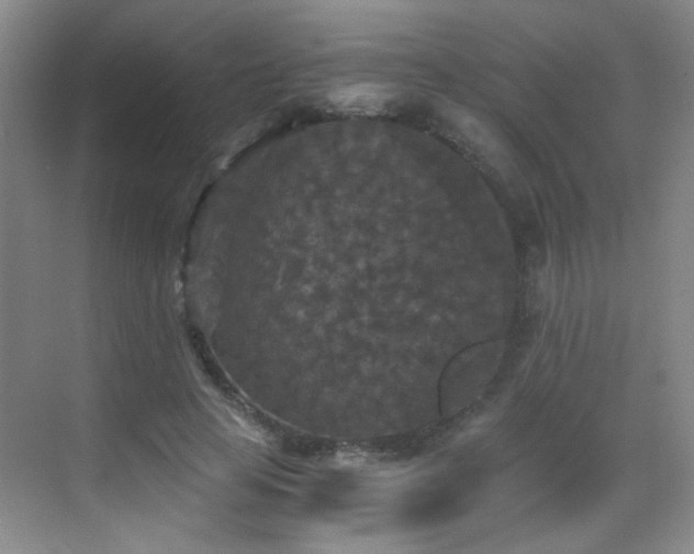 X0000069810641200605221205