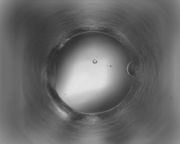 X0000069810642200605221205