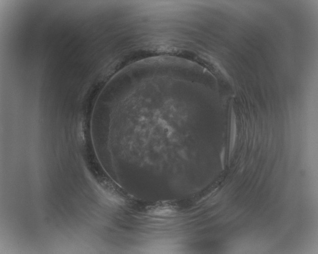 X0000069810643200605221205