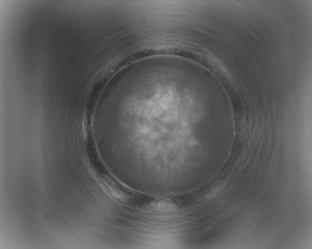 X0000069810644200605221205