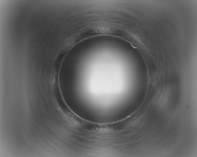 X0000069810645200605221205