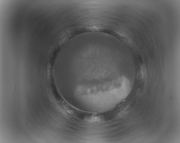 X0000069810647200605221205