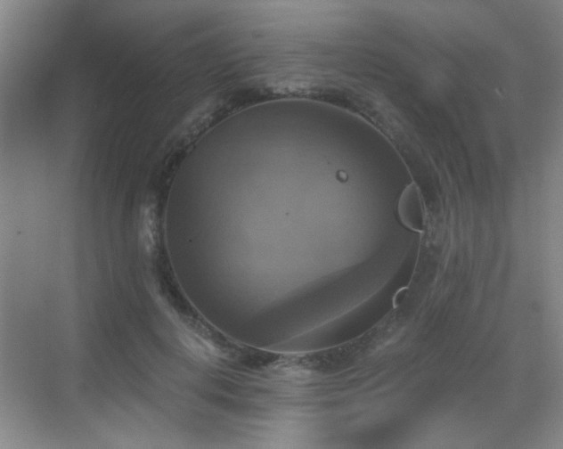 X0000069810648200605221205