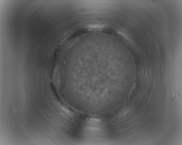 X0000069810649200605221205