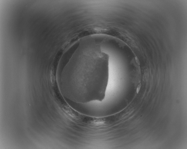 X0000069810651200605221205