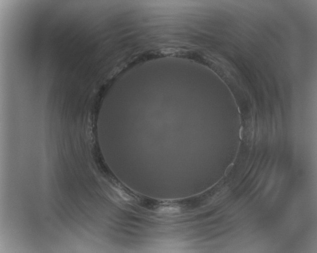 X0000069810653200605221205