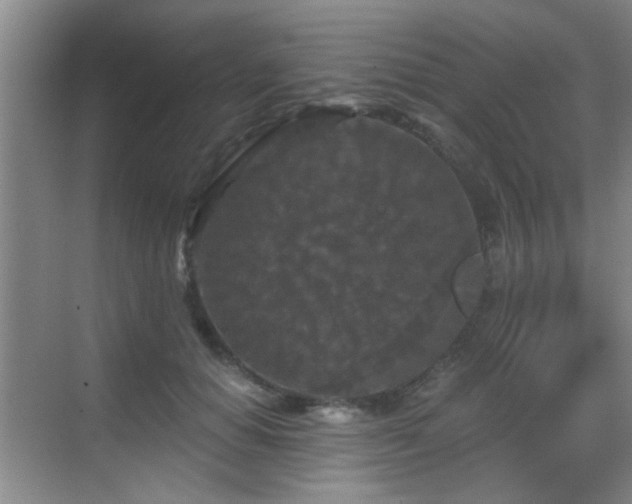 X0000069810654200605221205