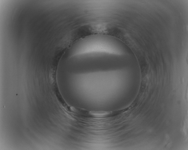 X0000069810658200605221205