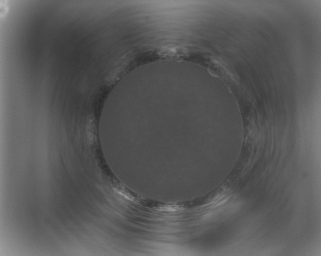 X0000069810659200605221205