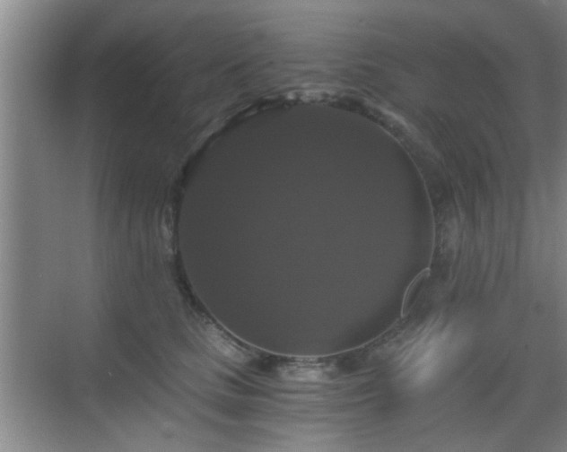 X0000069810661200605221205