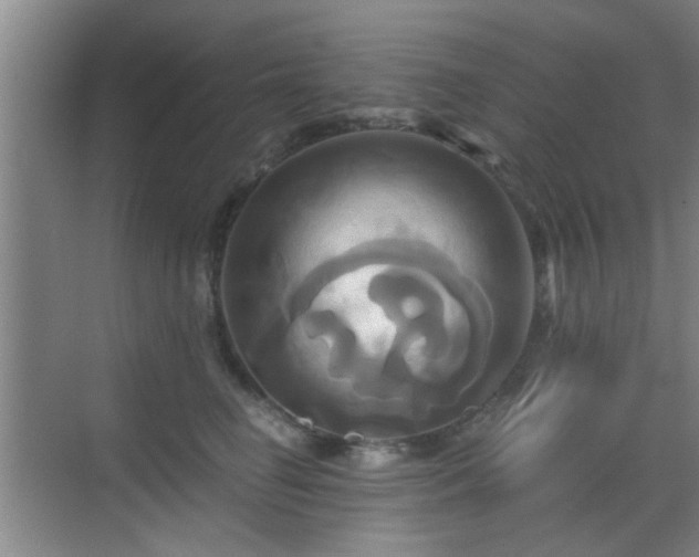 X0000069810662200605221205