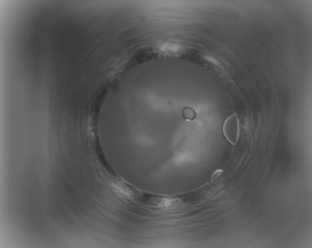 X0000069810663200605221205