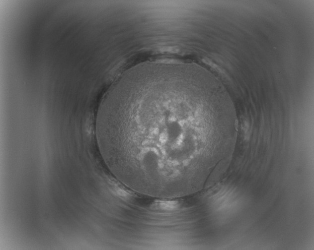 X0000069810665200605221205