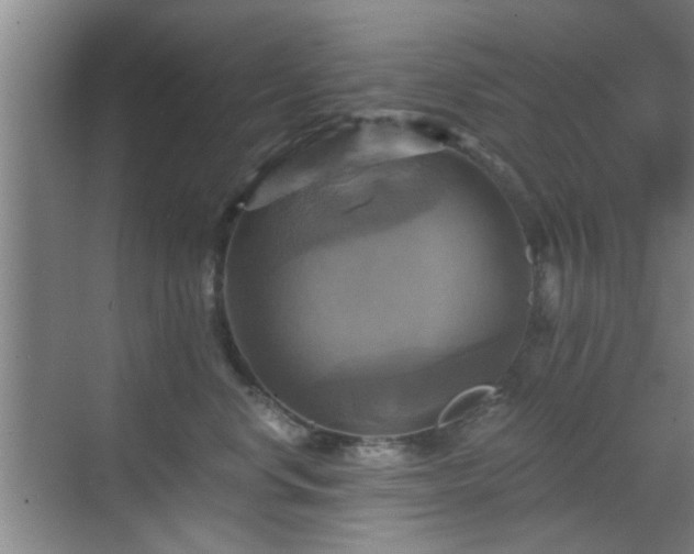 X0000069810668200605221206