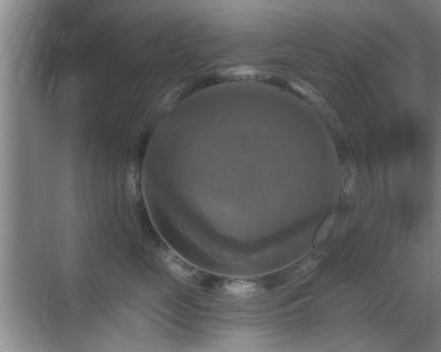 X0000069810669200605221206