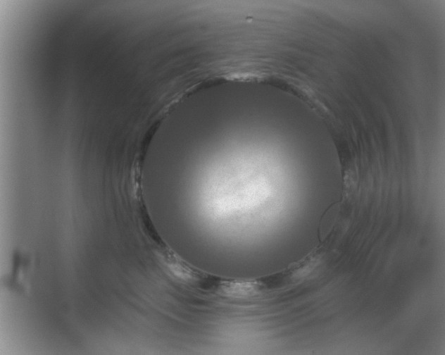 X0000069810671200605221206