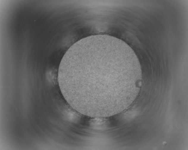 X0000069810672200605221206