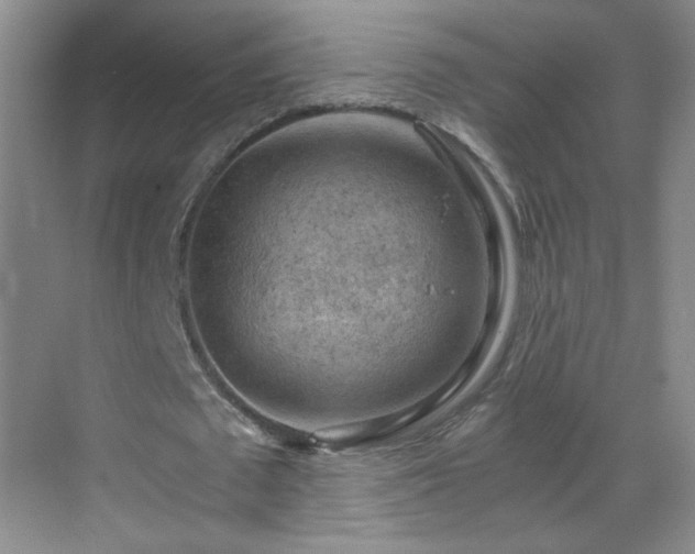 X0000069810673200605221205