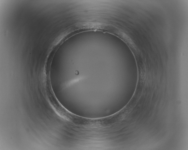 X0000069810674200605221205