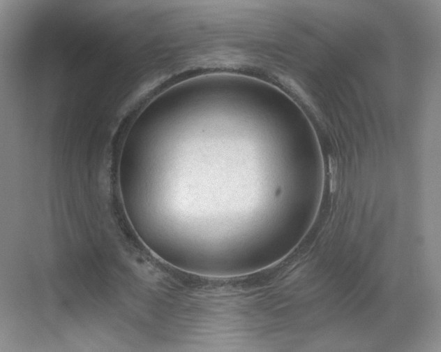 X0000069810675200605221205