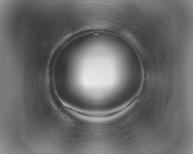 X0000069810676200605221205