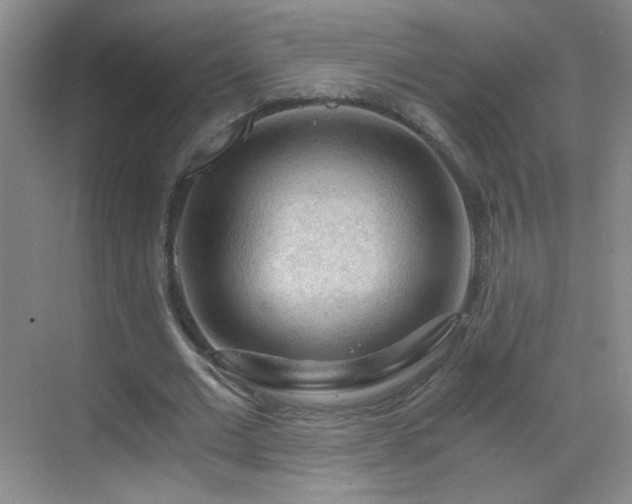 X0000069810677200605221205