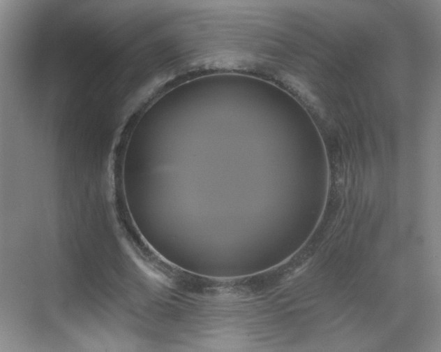 X0000069810678200605221205