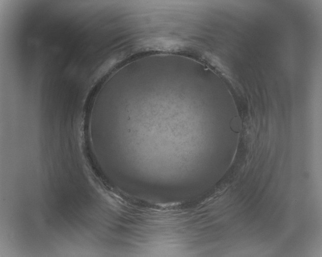 X0000069810679200605221205