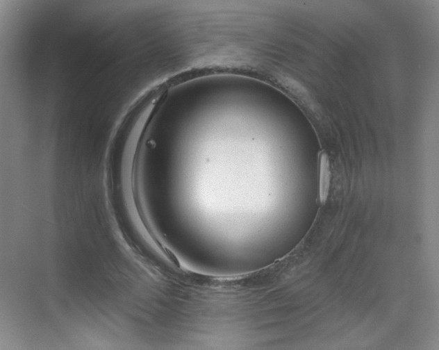 X0000069810680200605221205