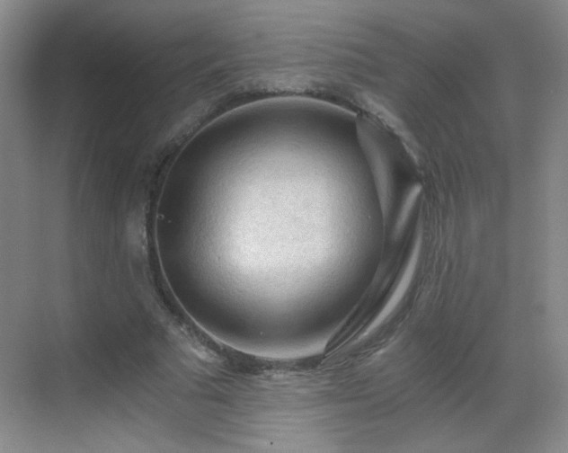 X0000069810681200605221205