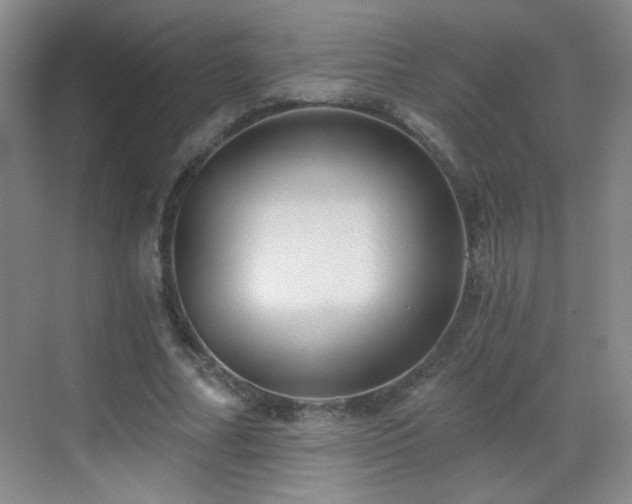 X0000069810682200605221205