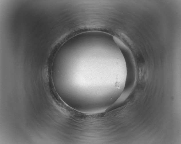 X0000069810684200605221205