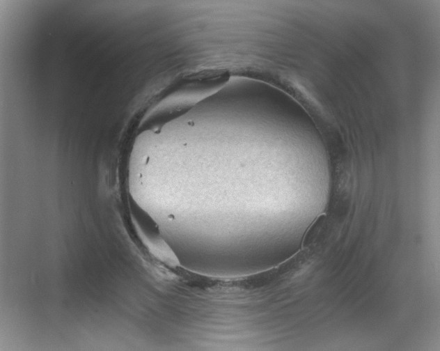 X0000069810685200605221205