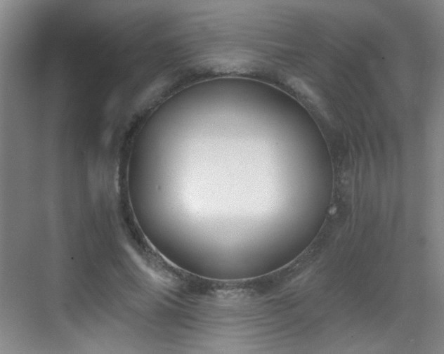 X0000069810686200605221205