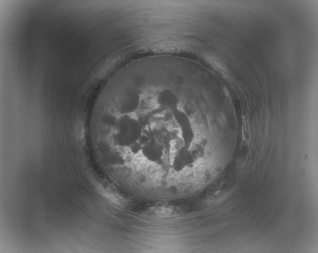 X0000069810687200605221205