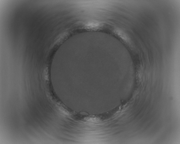 X0000069810689200605221205