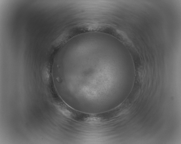 X0000069810691200605221204