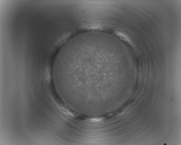 X0000069810692200605221204