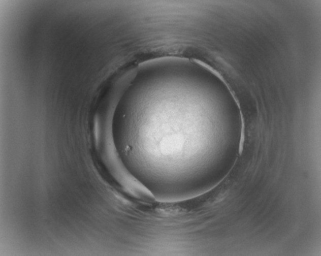 X0000069810693200605221204