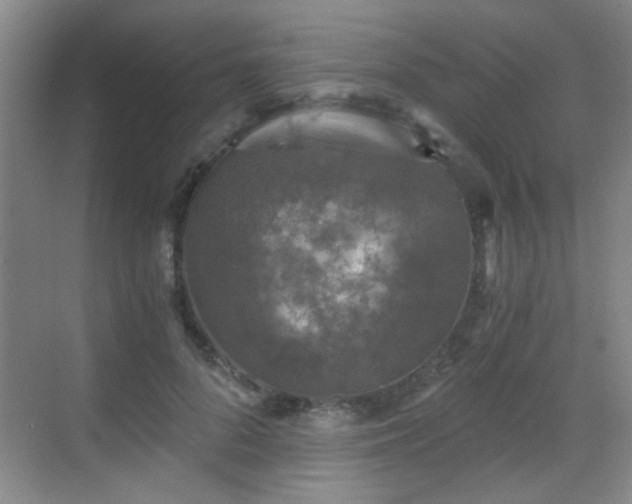 X0000069810696200605221204