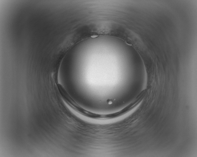 X0000069810697200605221204