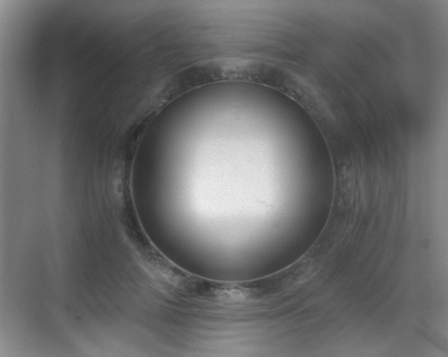 X0000069810698200605221204