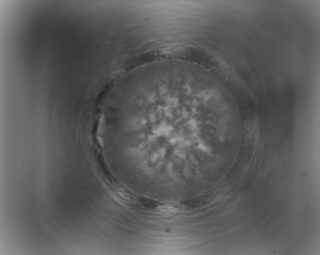 X0000069810703200605221204