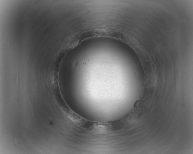 X0000069810706200605221204