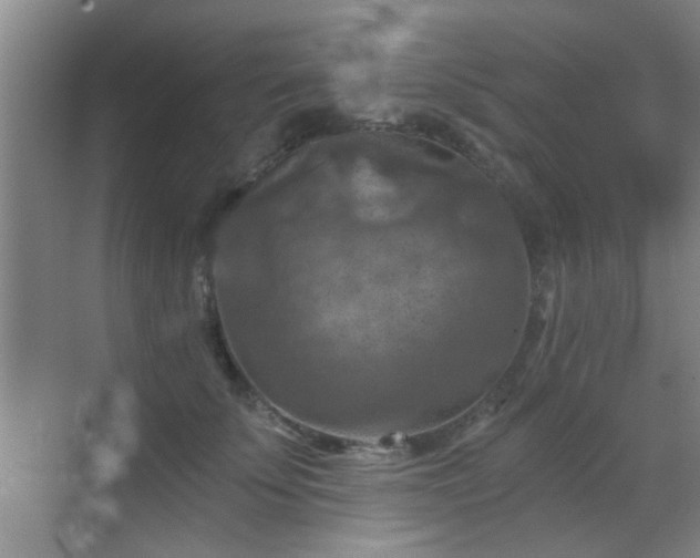 X0000069810707200605221204