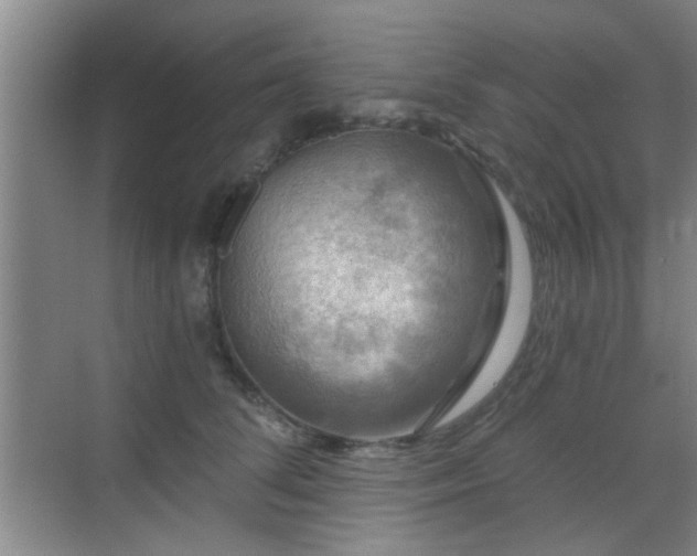 X0000069810708200605221204