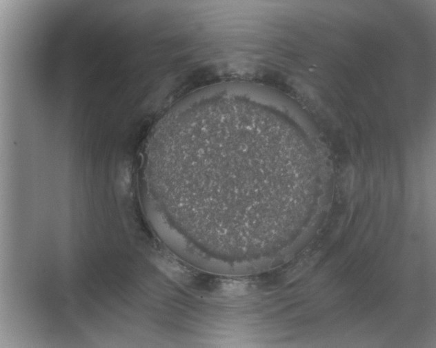 X0000069810709200605221204