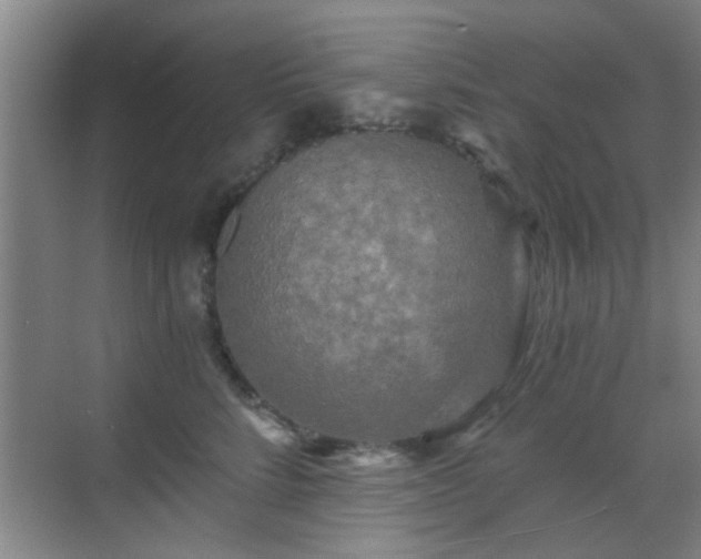 X0000069810712200605221204