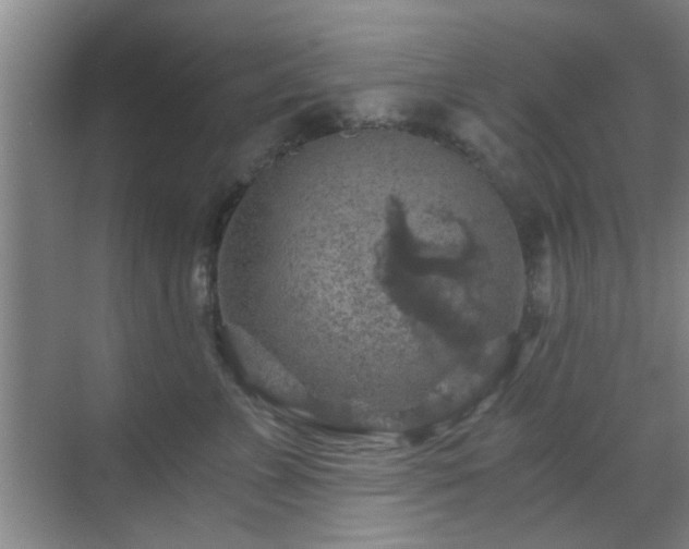 X0000069810715200605221204